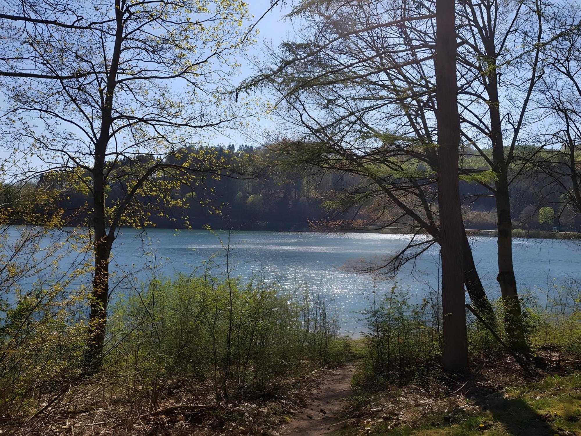 Ferienhaus Wasserfall Bestwig Bagian luar foto