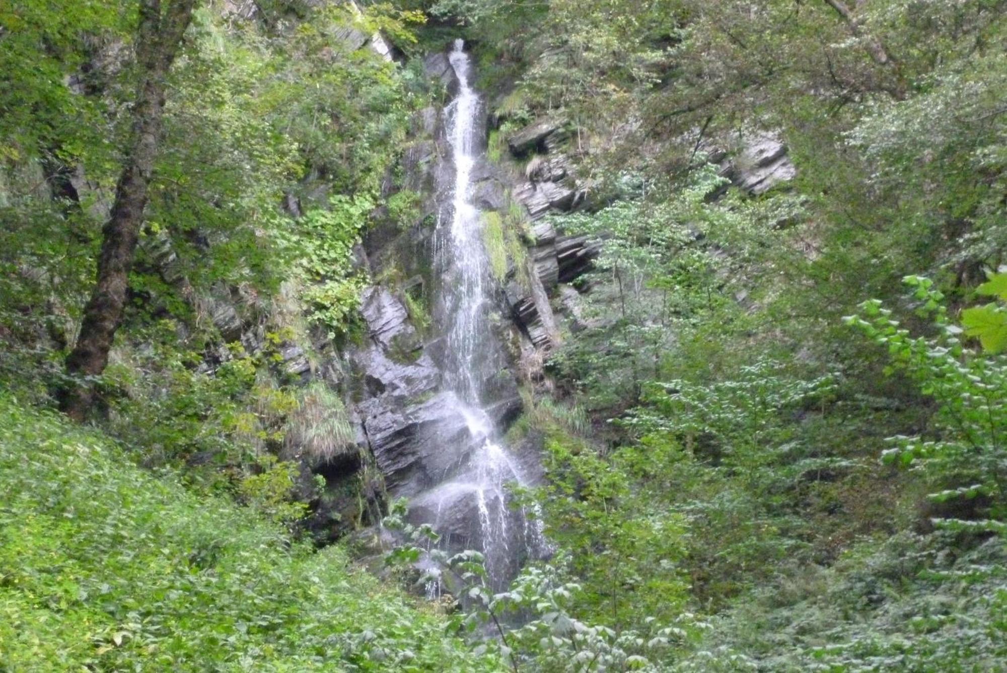 Ferienhaus Wasserfall Bestwig Bagian luar foto